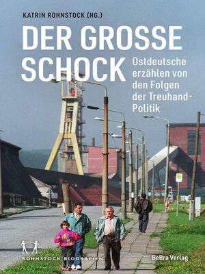 cover image of Der große Schock